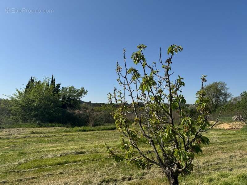 Terrain de loisirs de 2600m² à vendre à COLLIAS (30) - Environnement naturel privilégié - photo 8