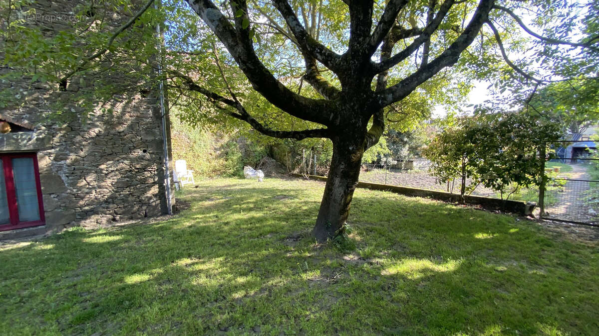 Maison de bourg et trés jolie dépendance 170 m2 et du terrain au centre de Tiffauges 232500 € frais d'agence i - photo 4