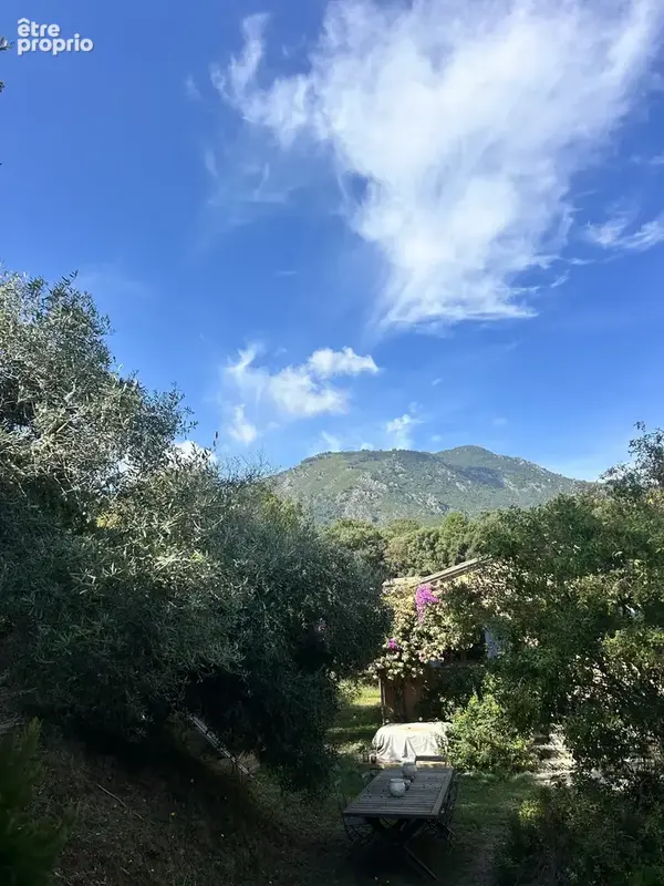 À vendre   Maison de 105 m2 sur 2 700 m2 de terrain à Cervione - photo 16