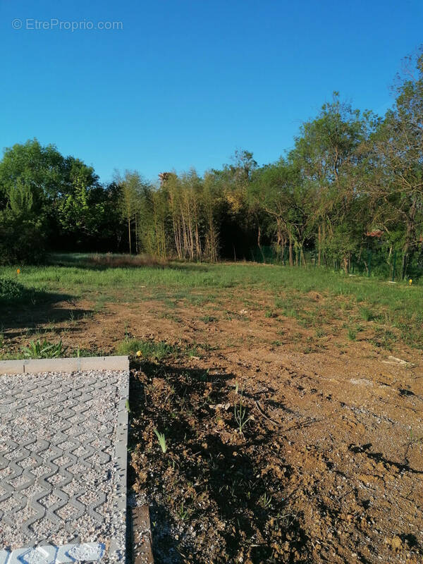 Terrain à PRADES-LE-LEZ