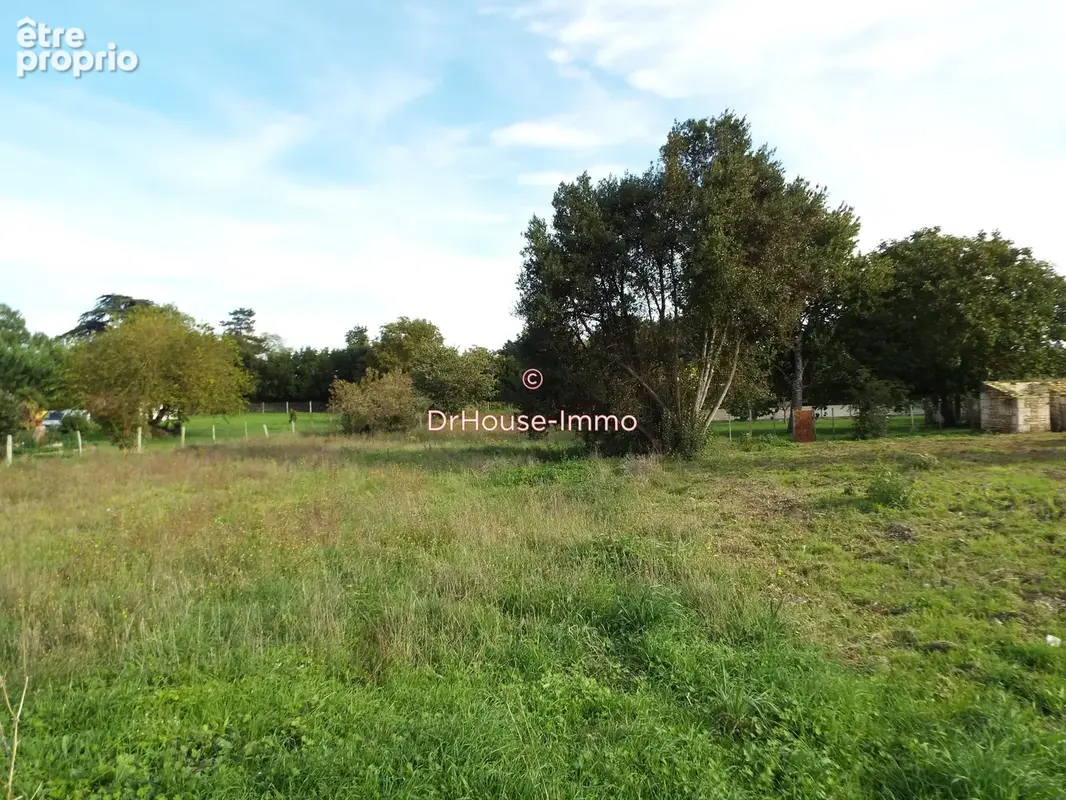 Terrain 2 104 m² à vendre à Bois (17240) - photo 16