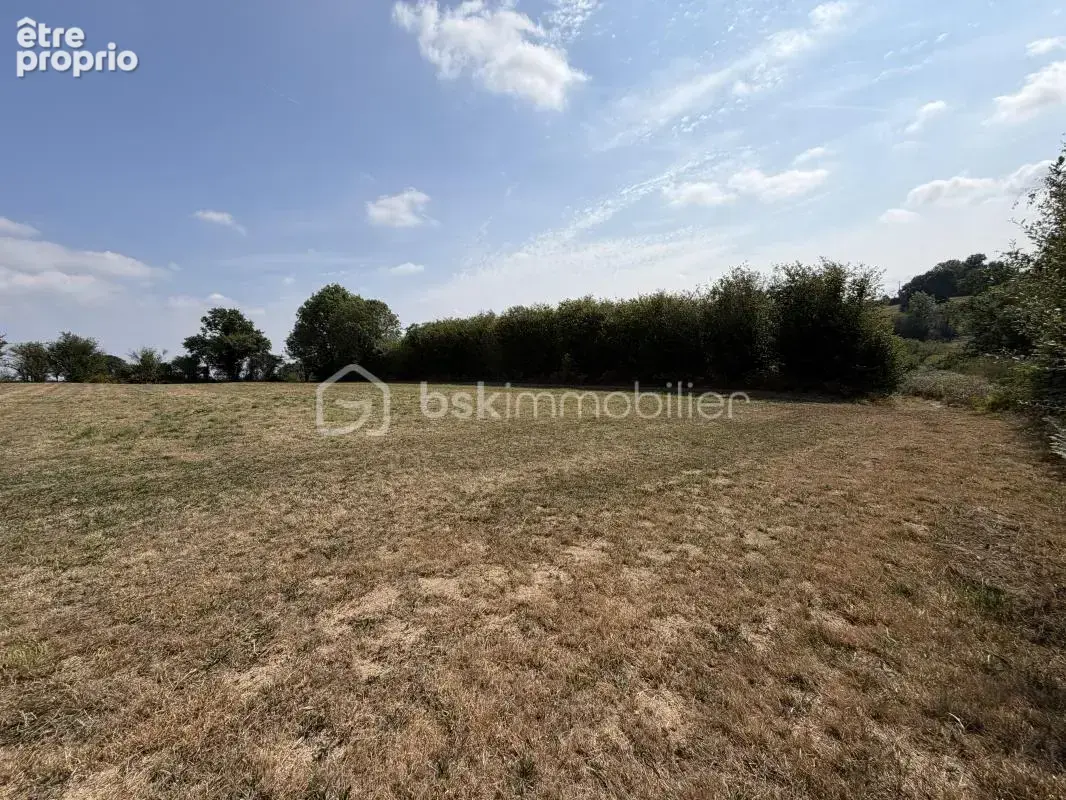 À VENDRE – Maison de caractère avec vaste terrain et installations équestres - photo 15