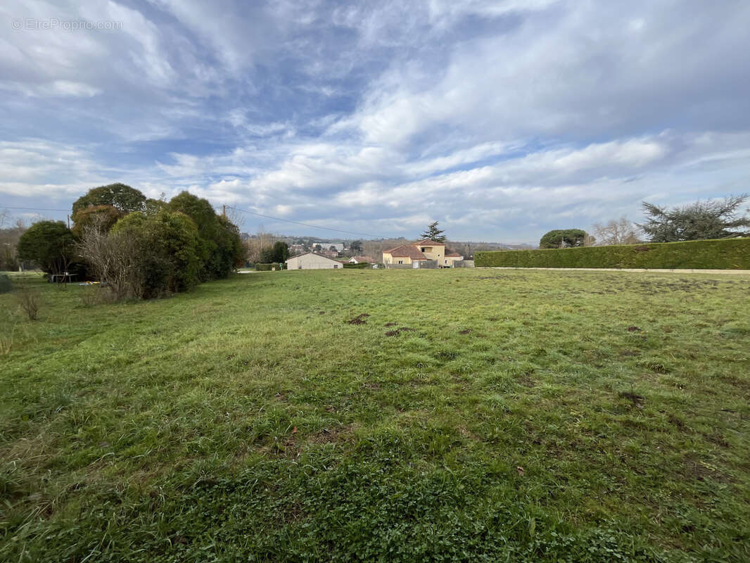 Terrain à NERAC