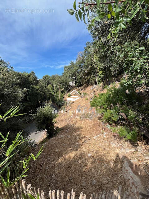 Terrain à TOURRETTES-SUR-LOUP