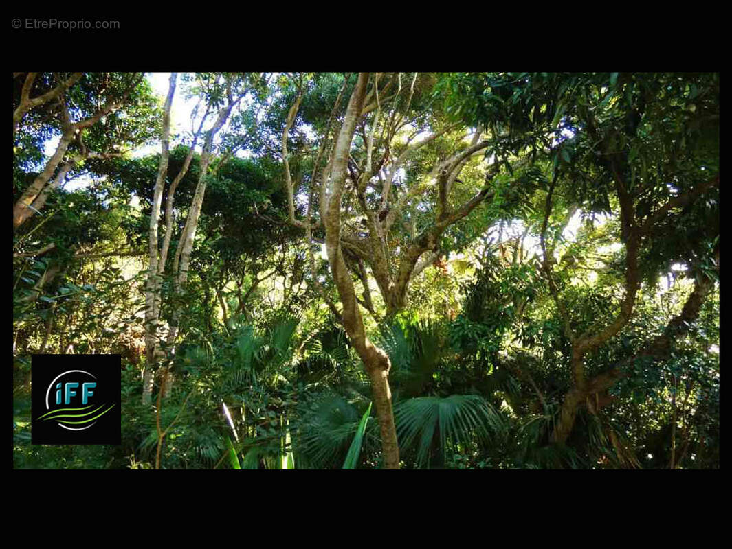 Terrain à SAINT-DENIS