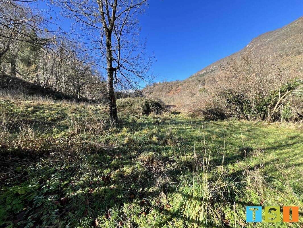 Terrain à MAULEON-BAROUSSE