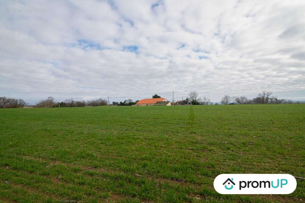 Terrain à SEMPESSERRE