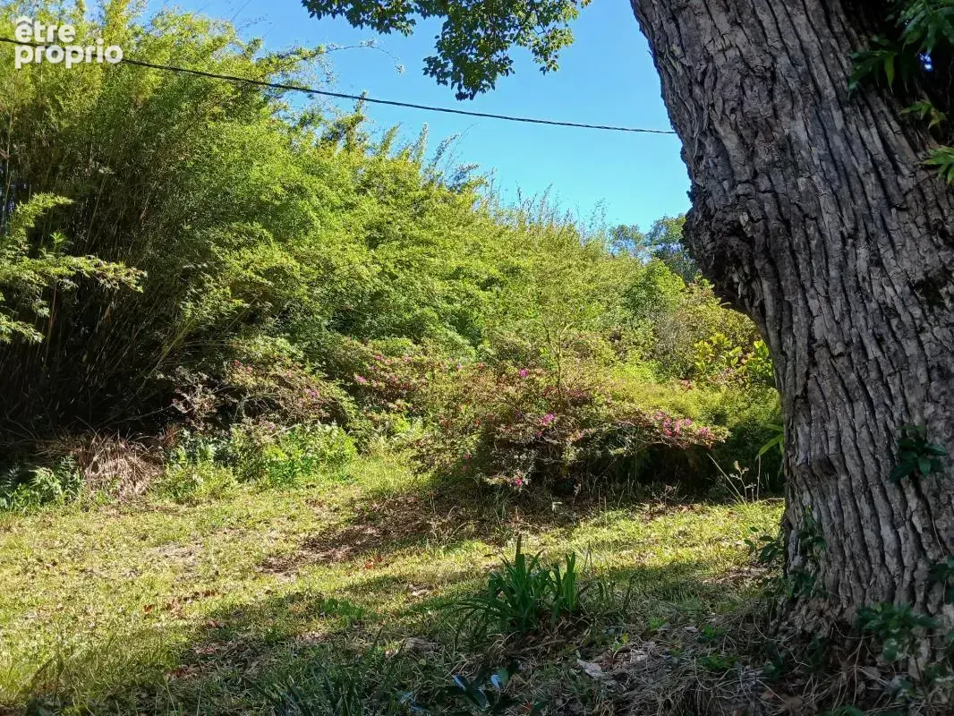 Terrain 869 m² à vendre à Saint-Denis (97400) - photo 2