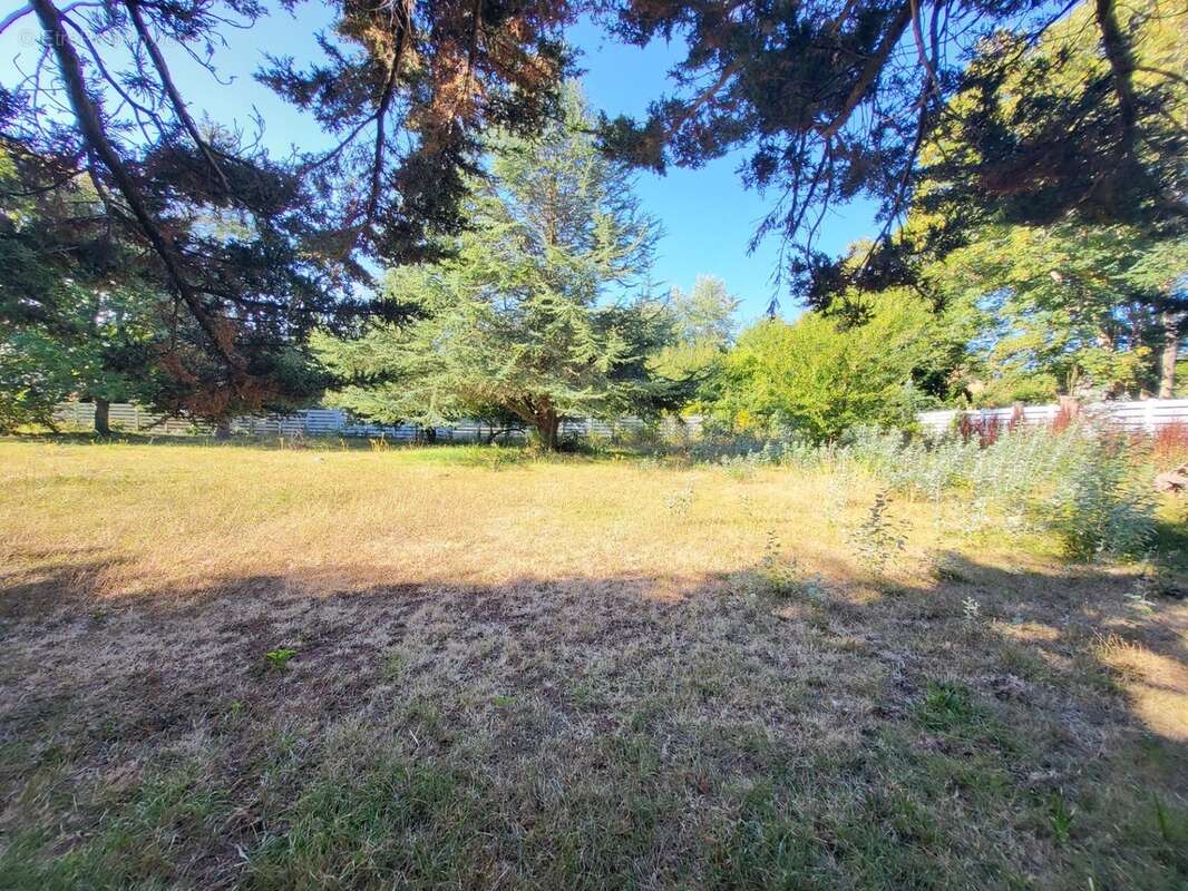 Terrain constructible à vendre  CAMARET SUR MER (29) - photo 4