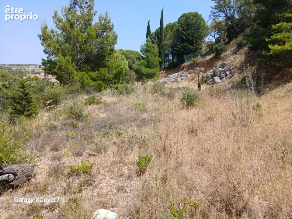 Terrain 1 800 m² à vendre à La Palme (11480) - photo 3