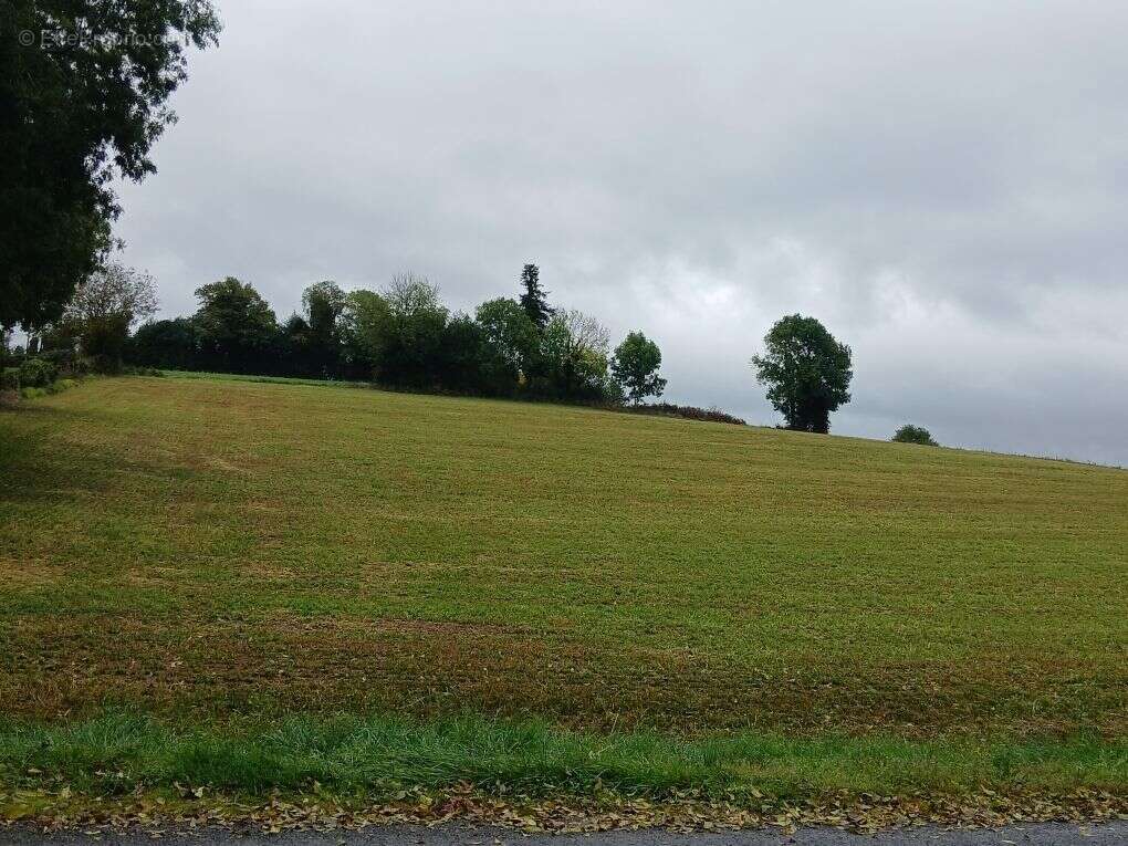 Terrain à LE FRAYSSE
