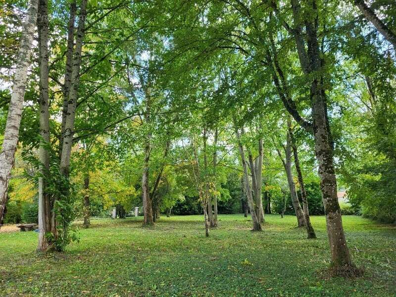 Maison à FRESSELINES