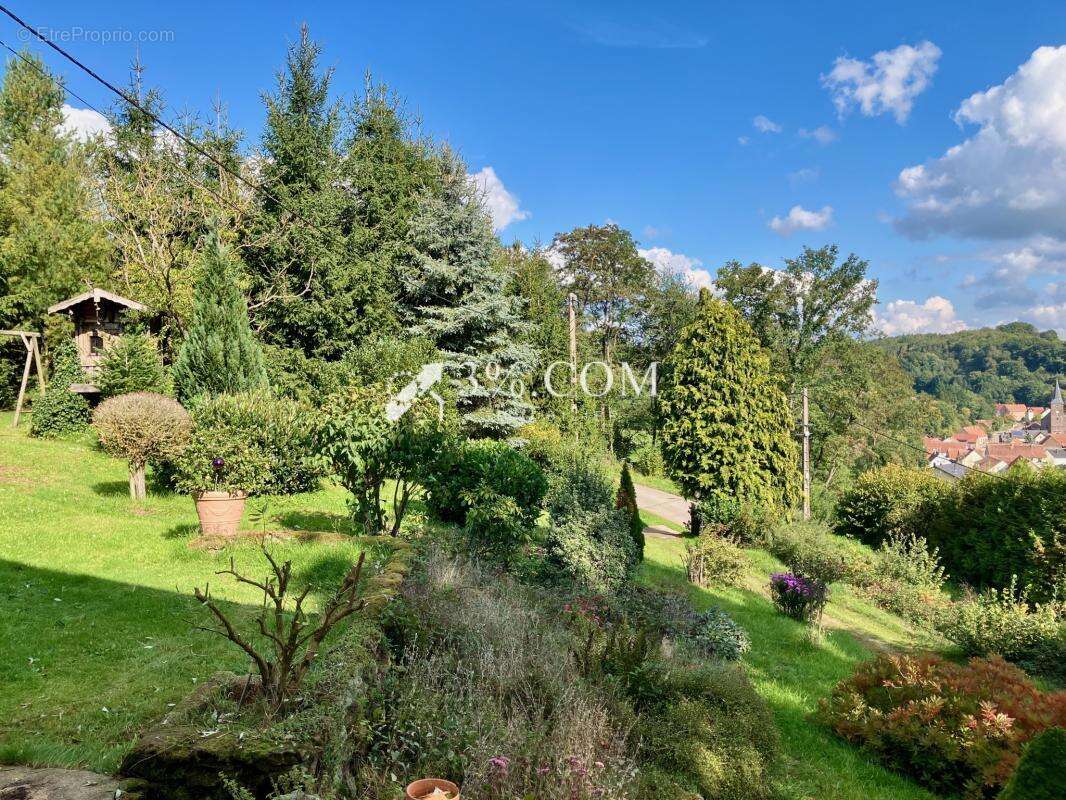 Maison à WALSCHBRONN