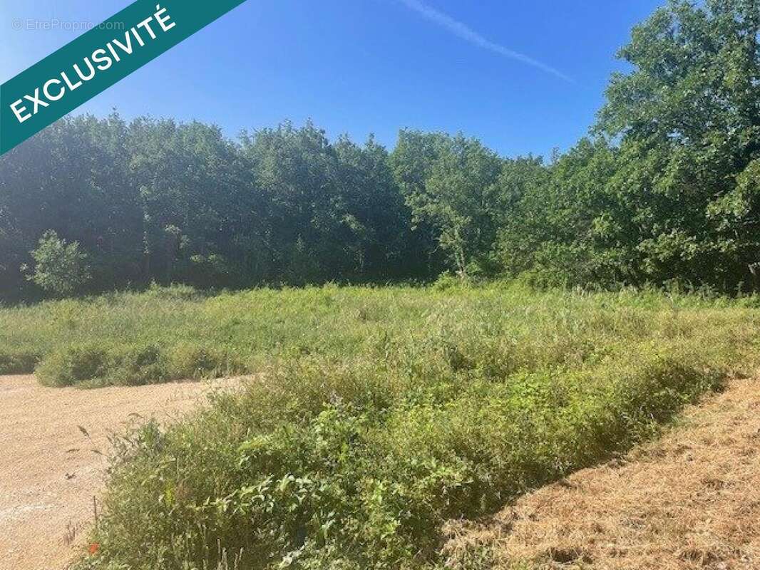 Photo 2 - Terrain à CERESTE