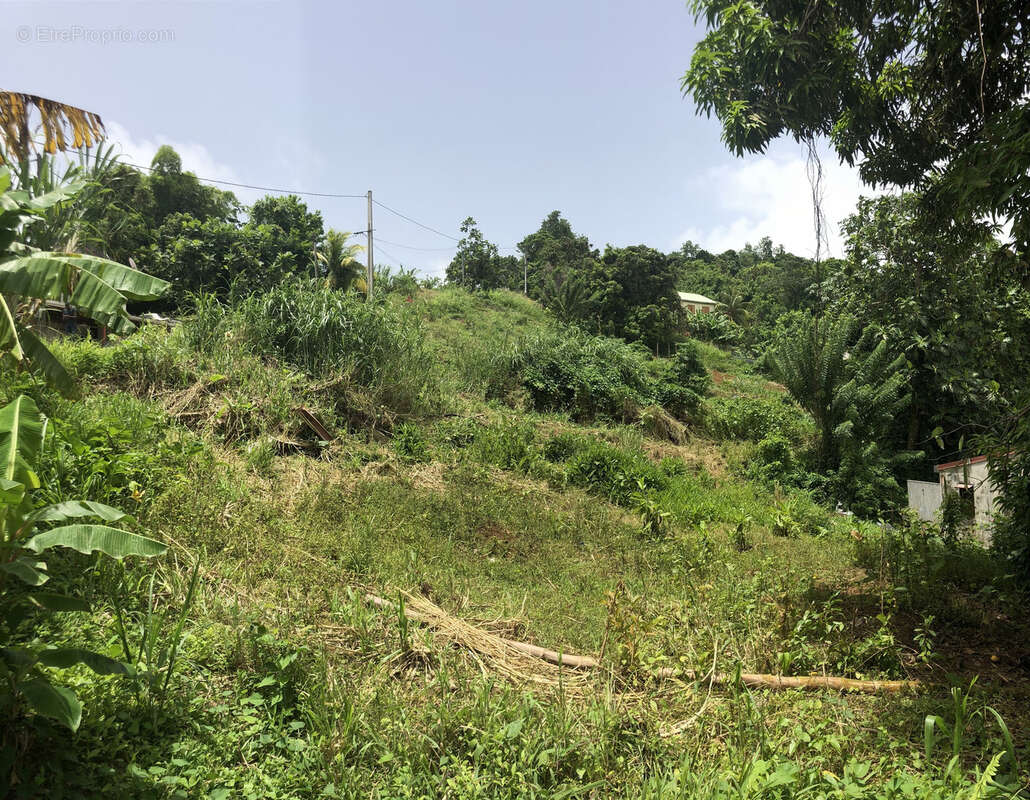 Terrain à LE FRANCOIS