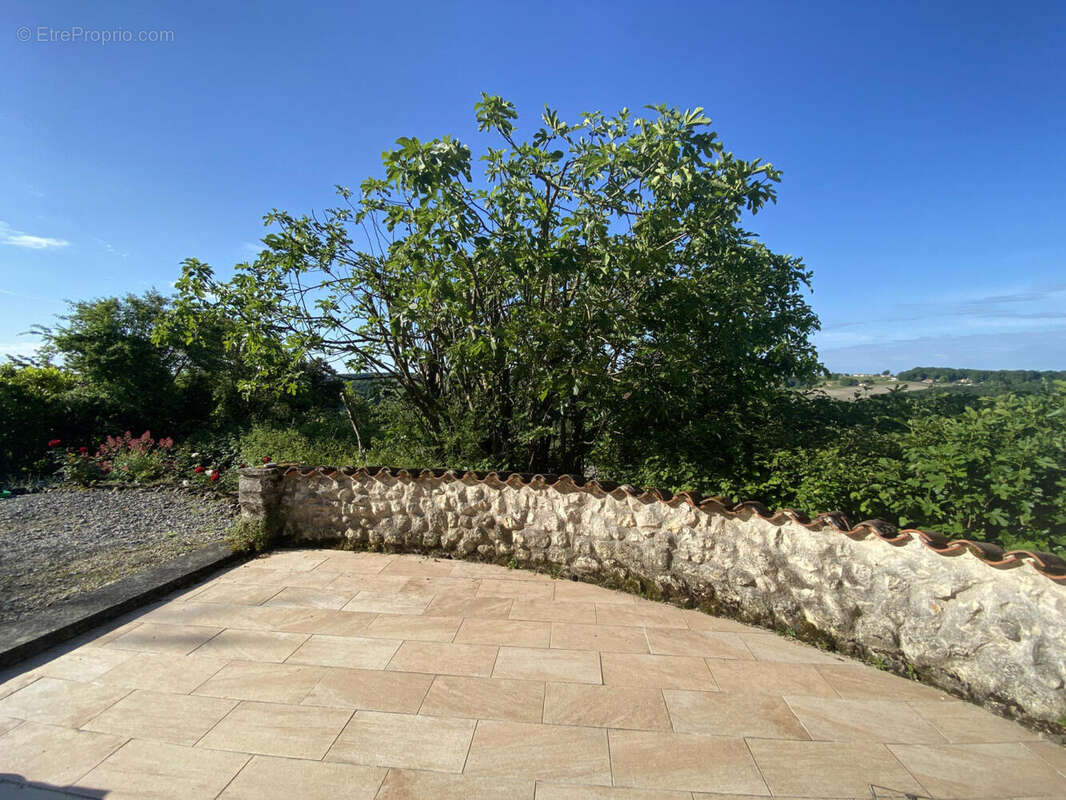 terrasse cuisine - Maison à MONTMOREAU-SAINT-CYBARD