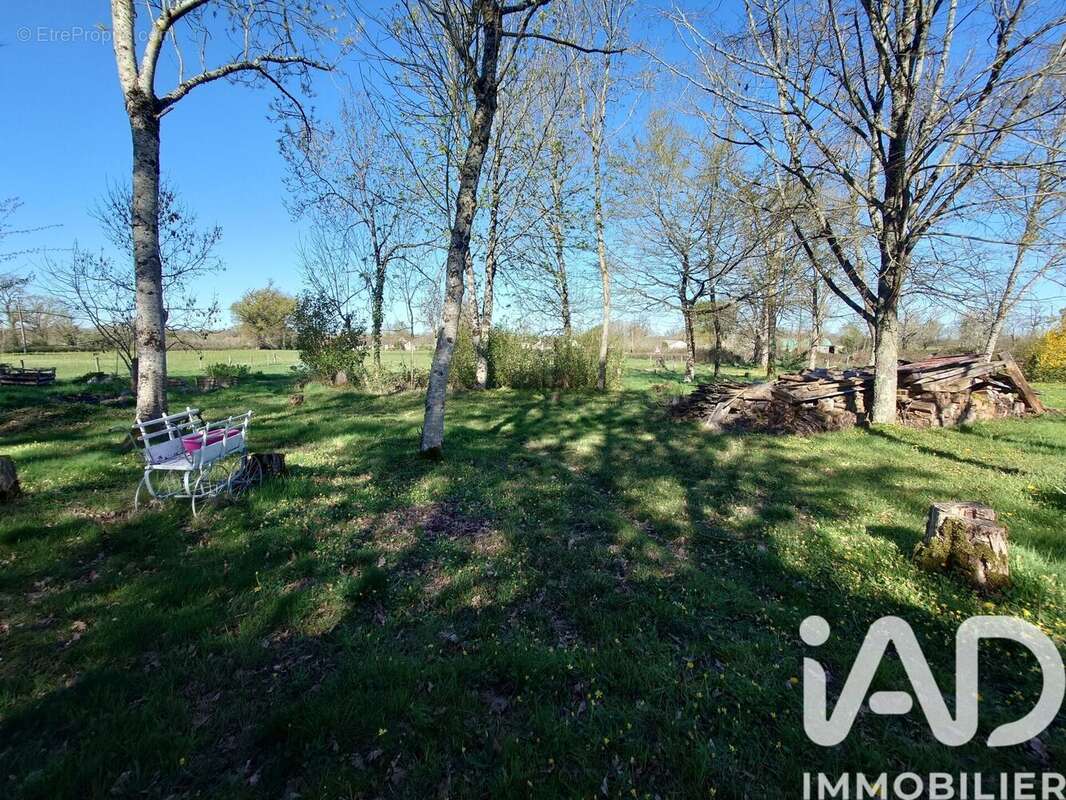 Maison 69 m² à Brigueil-Le-Chantre  - photo 6
