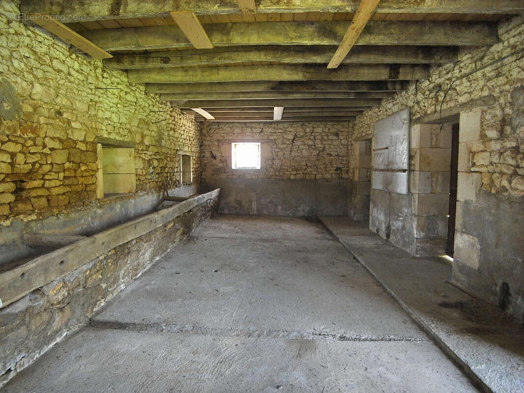 Maison de Maitre à vendre - Vienne - Maison à ROMAGNE