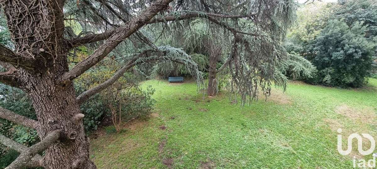 Photo 6 - Appartement à MONTPELLIER