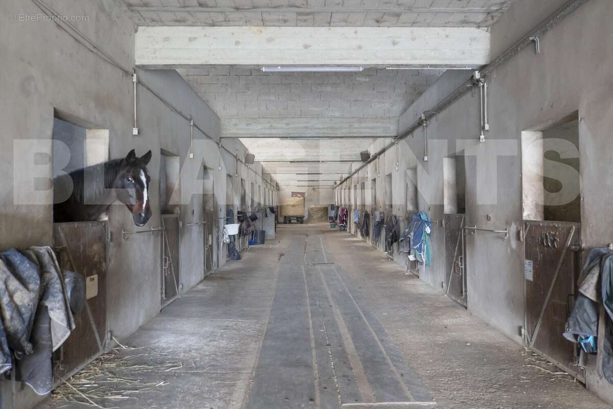 Ecurie - vue de l'intérieur - Maison à BASSEVELLE