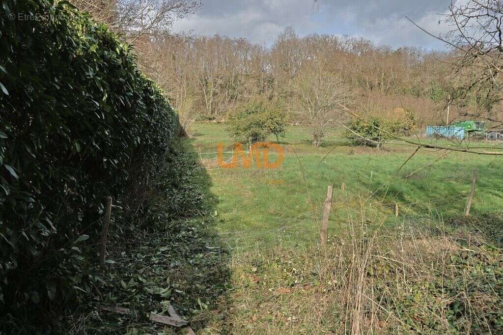 Terrain à bâtir de 4500 m² au Blanc (36300) – Prêt à construire - photo 5