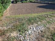 Photo 1 - Terrain à AIGUEFONDE