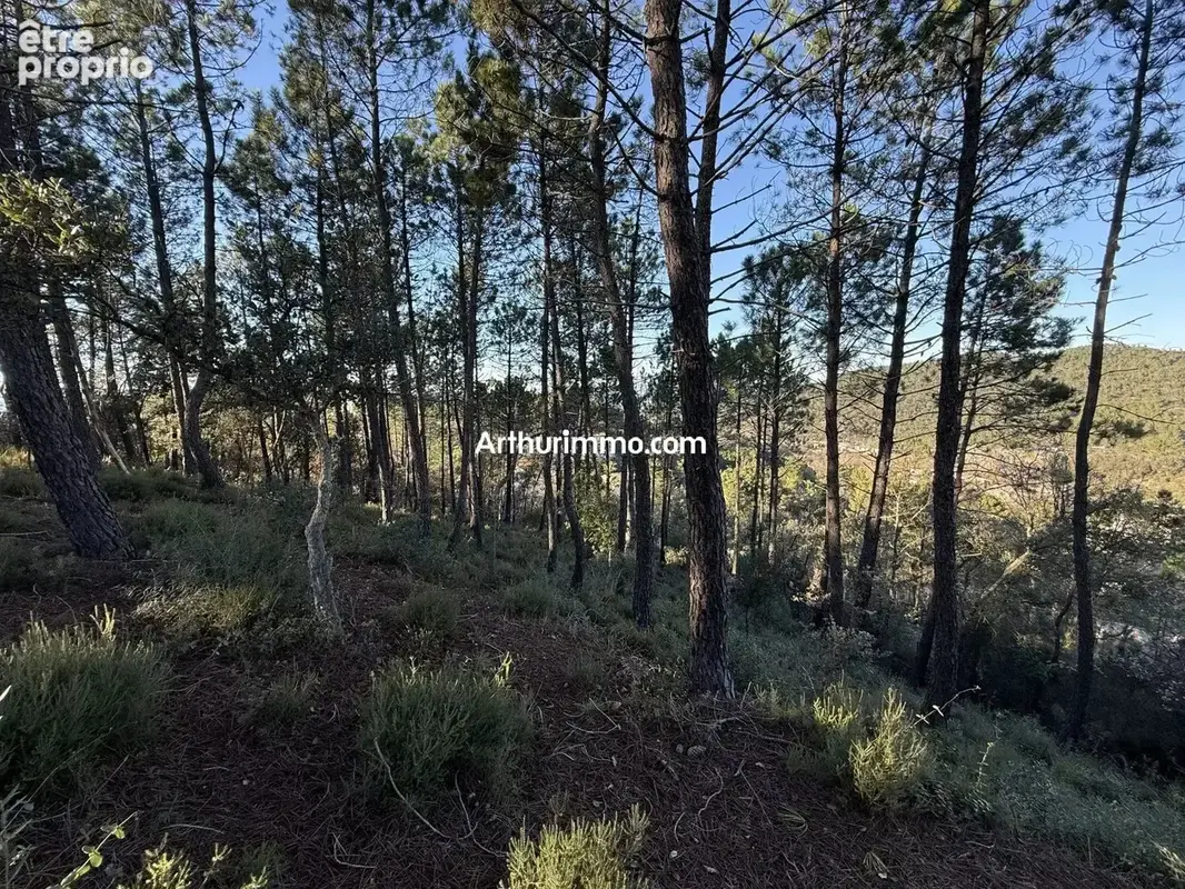 Vente Terrain Vidauban(83550) 125 000ï¿œ - photo 2