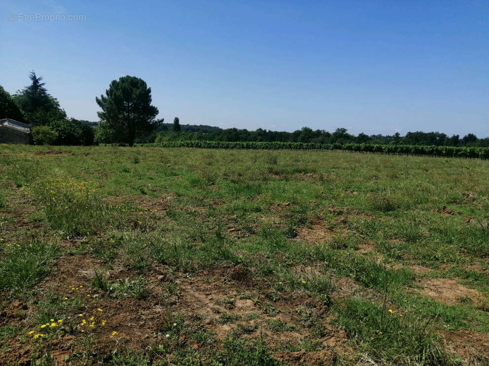 Terrain à DOULEZON