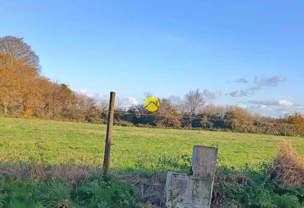 Terrain à FRUGES