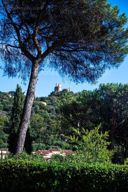 Maison à GRIMAUD