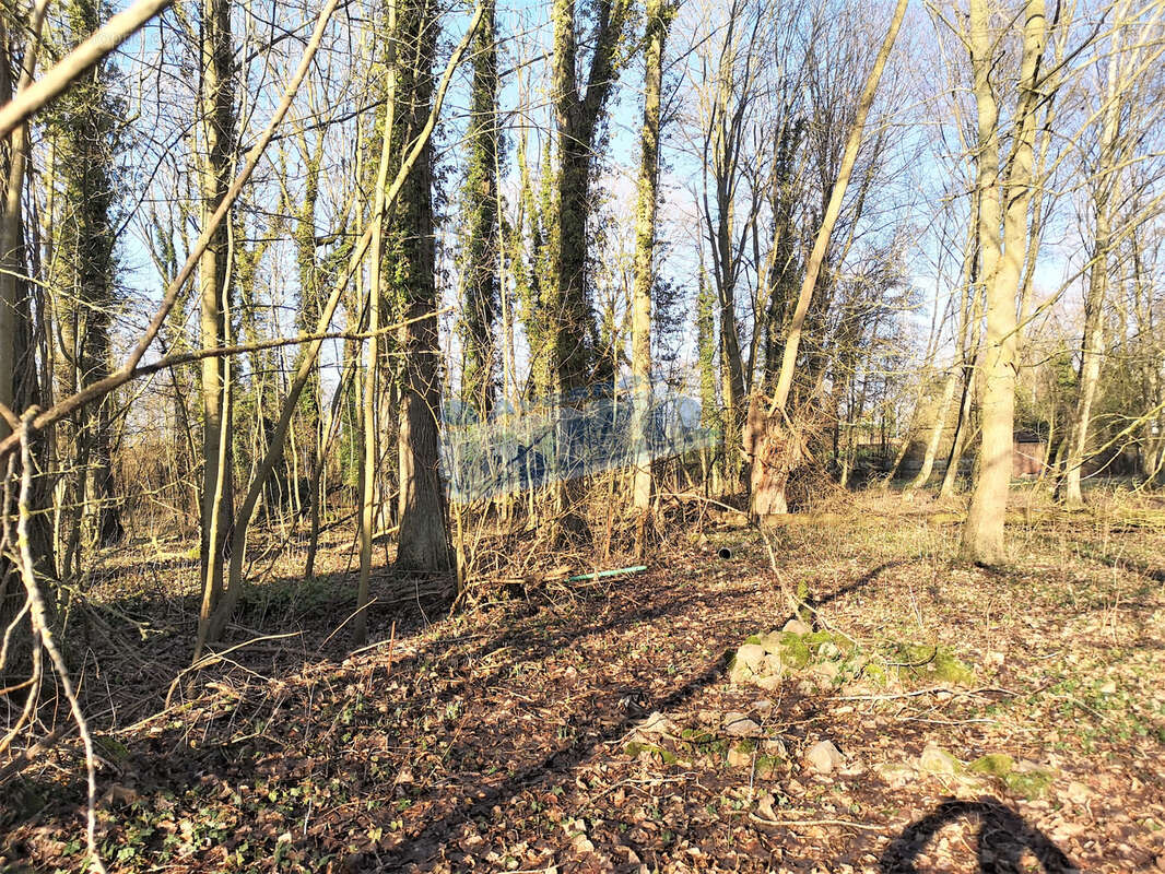 Terrain de loisirs et de détente,  Aubigny-en-Artois - photo 3