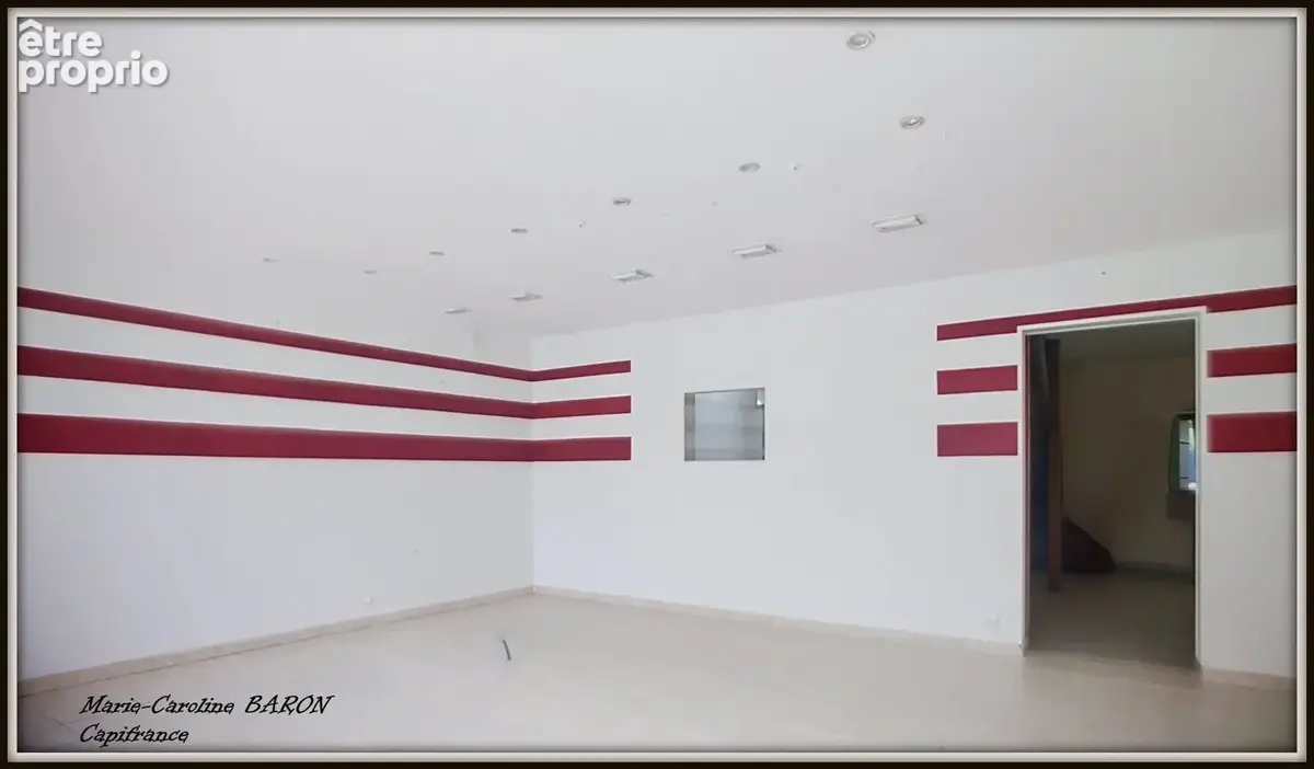 Immeubles pour investissement  BUZANCAIS (36) - photo 10