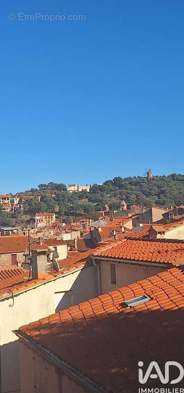 Photo 3 - Appartement à COLLIOURE
