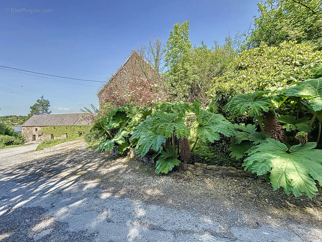 Maison à CANVILLE-LA-ROCQUE