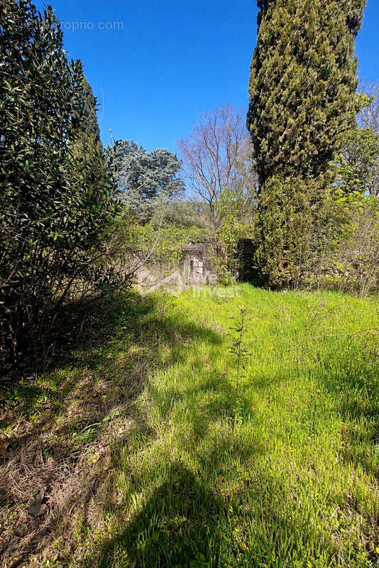 Terrain à MONTFORT-SUR-ARGENS