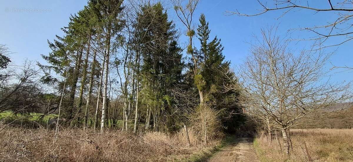 Terrain à GERNELLE