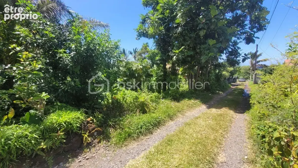 Vente Terrain Constructible de 778 m² Le Baril - Saint-Philippe - photo 5