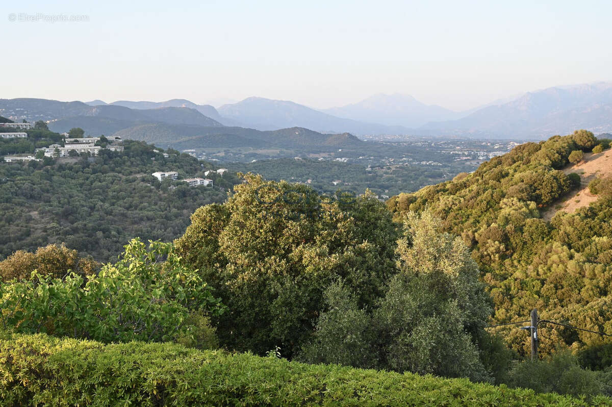 Maison 146 m² à Ajaccio  - photo 4