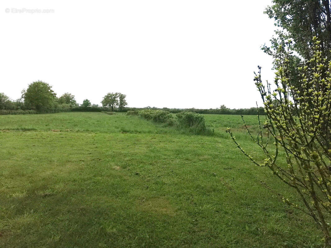 Maison à MAGNY-COURS