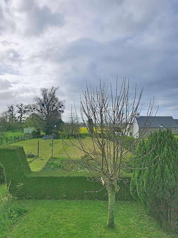 Photo 2 - Maison à CHERRUEIX