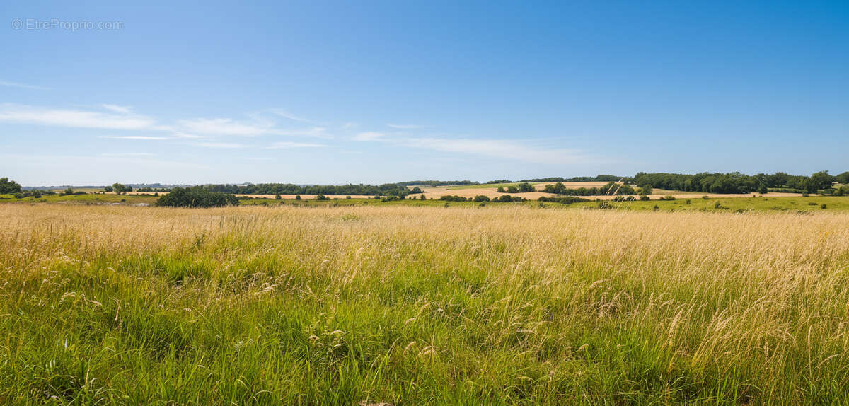 Propriété agricole sur environs 22 hectares de bois et de prairie. - photo 4