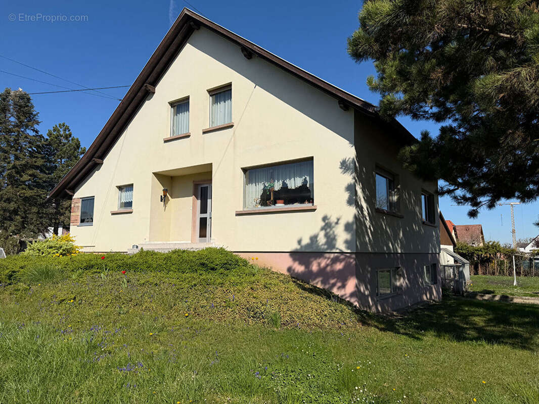 Krautergersheim - Maison familiale de caractère -135 m² sur 13 ares - photo 2