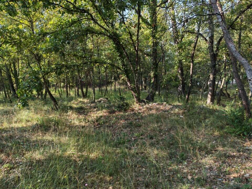 Terrain à TRANS-EN-PROVENCE