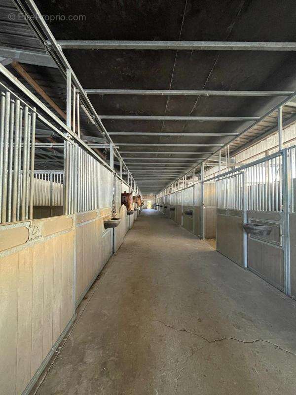 Haras de Reproduction Clé en Main sur 52 ha dans le Morbihan (5 - photo 16