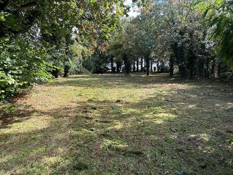 Terrain à ETERVILLE
