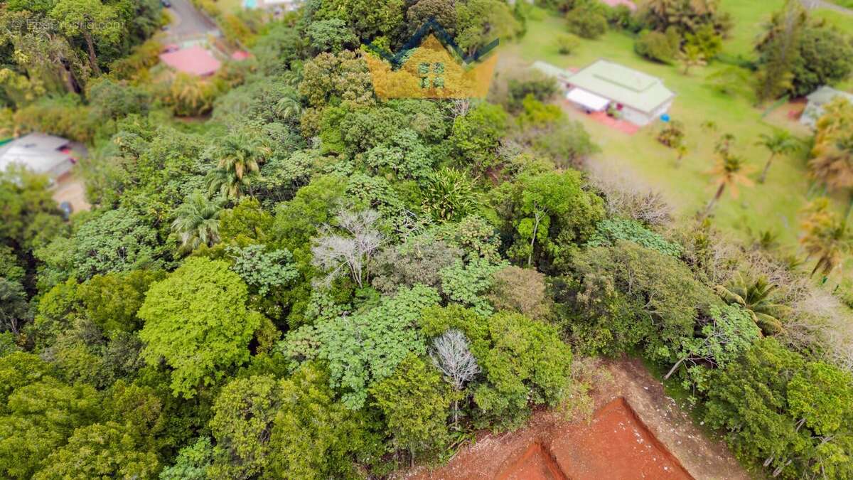 Terrain à PETIT-BOURG