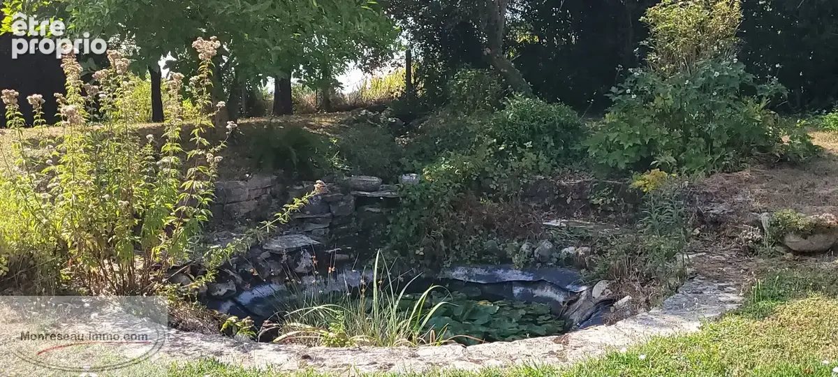 Ferme bressane rénovée avec goût au pied du Revermont - photo 4