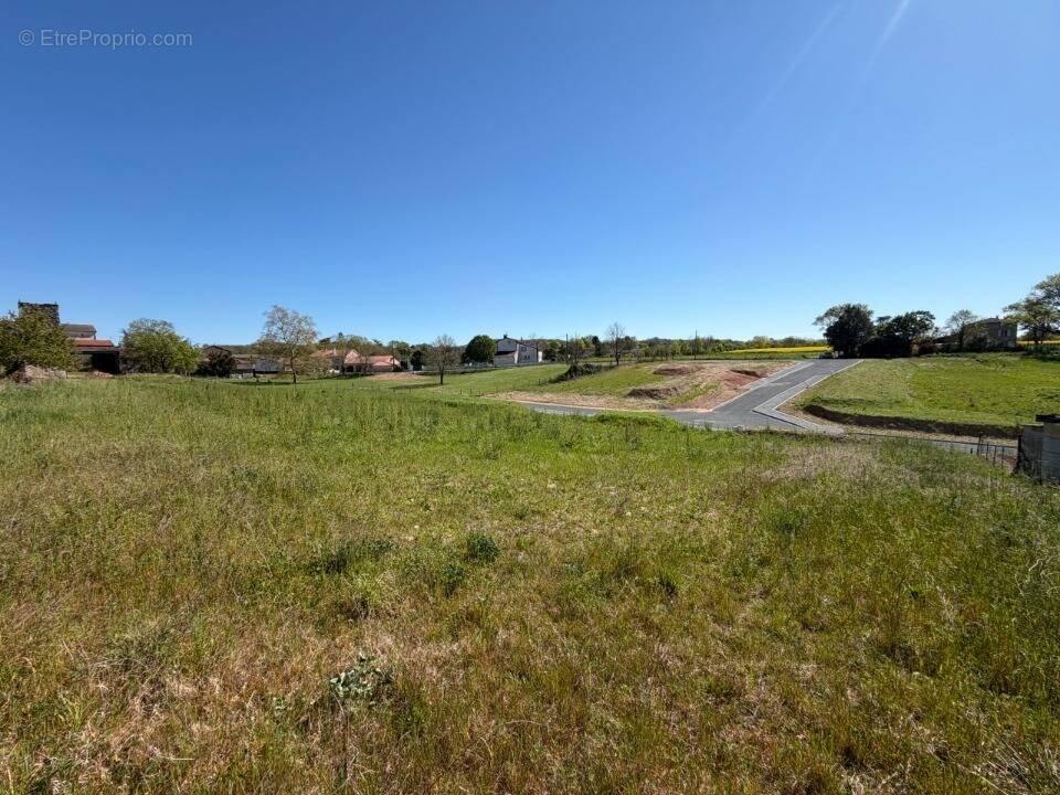 Terrain à MONTDRAGON