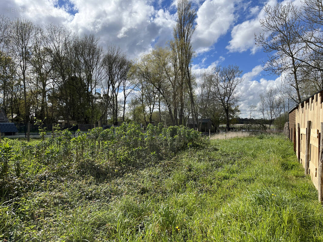 Terrain à SAINT-JOACHIM