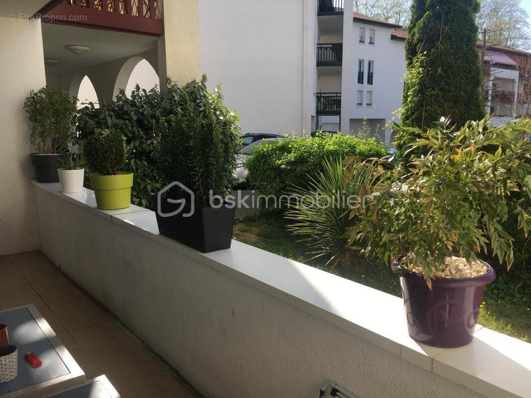 Appartement à SAINT-PIERRE-D'IRUBE
